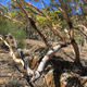 The striking colours of the Australian bush.